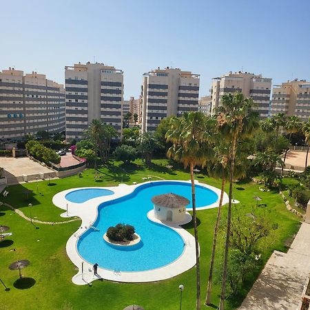 Jardin Del Mar Playa Muchavista - El Campello - Alicante Lägenhet Exteriör bild