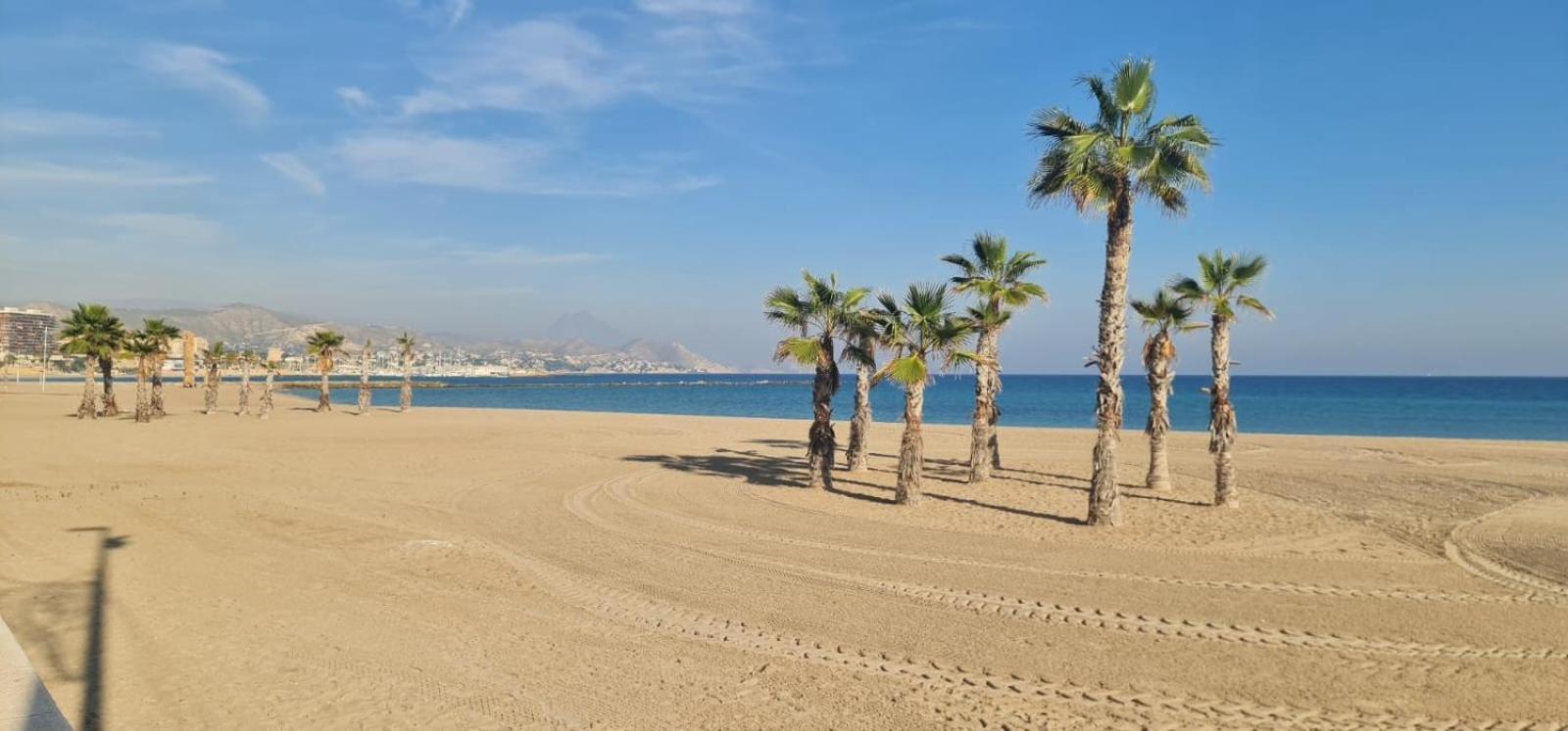 Jardin Del Mar Playa Muchavista - El Campello - Alicante Lägenhet Exteriör bild