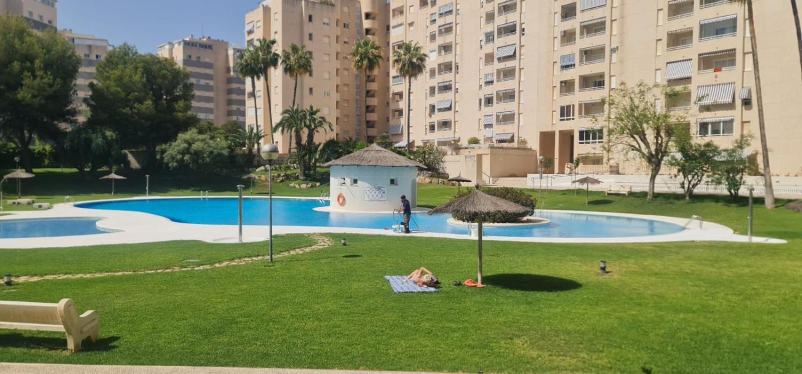 Jardin Del Mar Playa Muchavista - El Campello - Alicante Lägenhet Exteriör bild