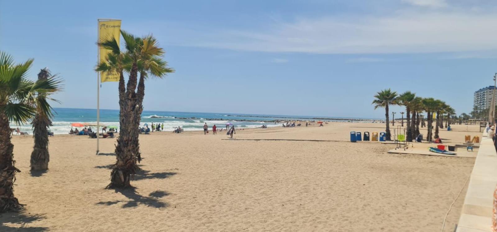 Jardin Del Mar Playa Muchavista - El Campello - Alicante Lägenhet Exteriör bild