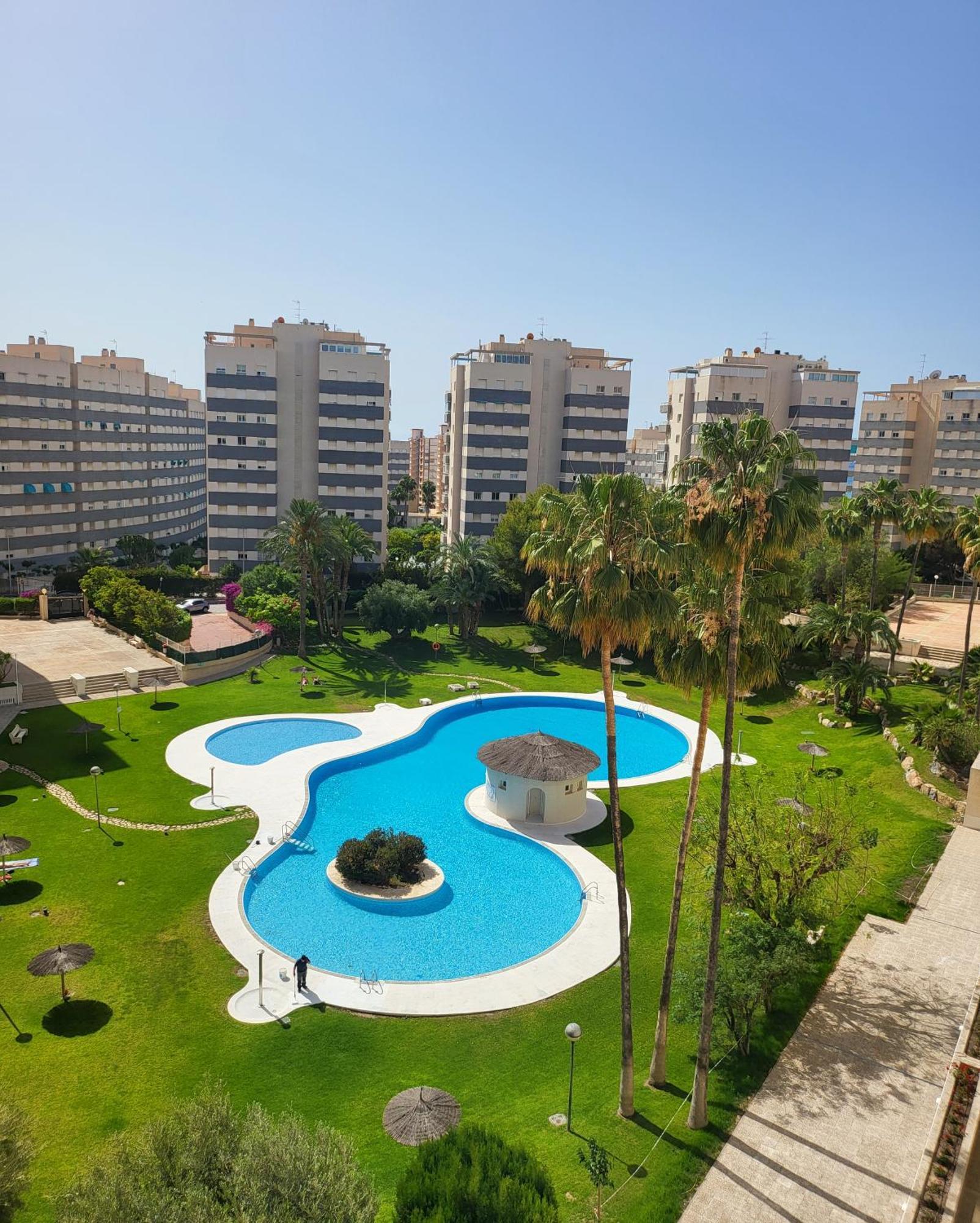 Jardin Del Mar Playa Muchavista - El Campello - Alicante Lägenhet Exteriör bild