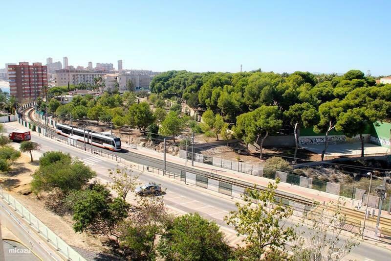 Jardin Del Mar Playa Muchavista - El Campello - Alicante Lägenhet Exteriör bild