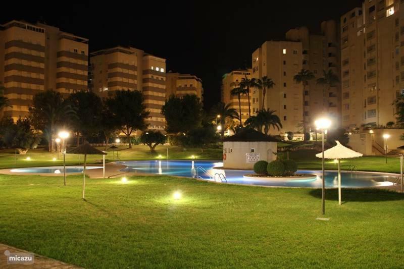 Jardin Del Mar Playa Muchavista - El Campello - Alicante Lägenhet Exteriör bild