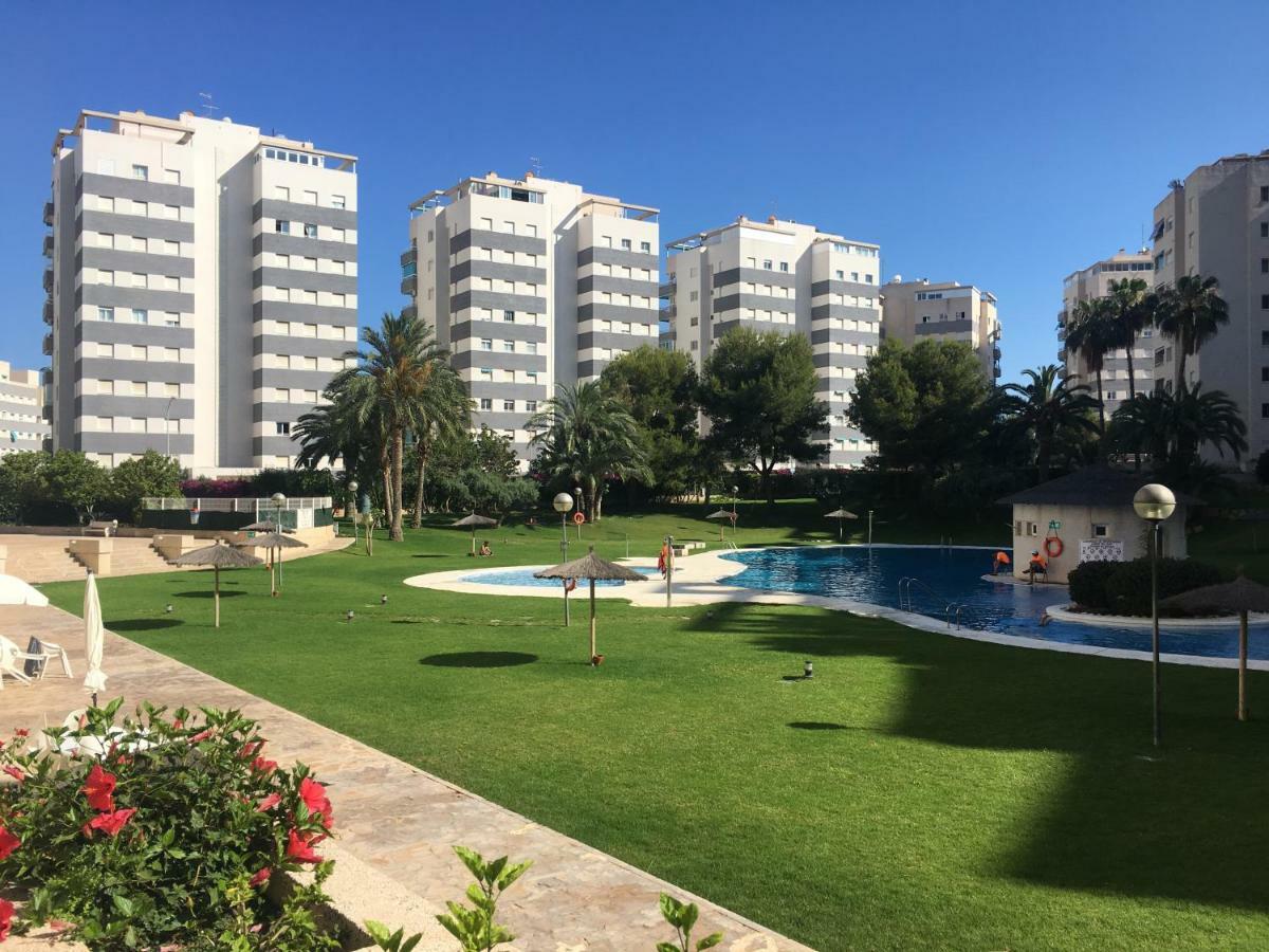 Jardin Del Mar Playa Muchavista - El Campello - Alicante Lägenhet Exteriör bild